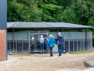 EL270923-129 - Emma Lavelle Stable Visit